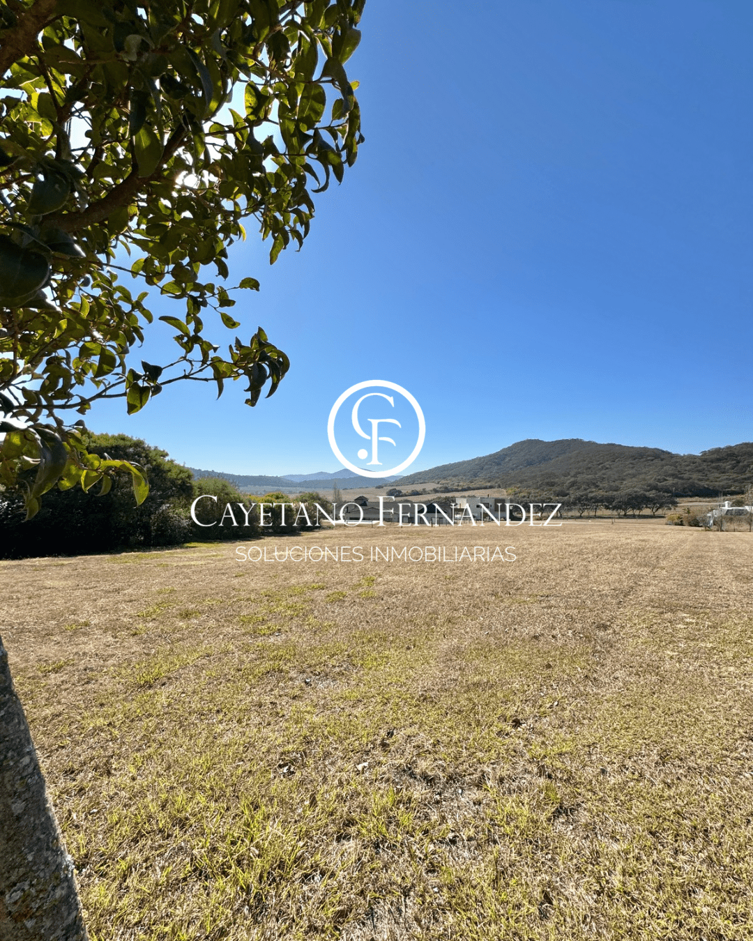 TERRENO EN VENTA! LA LUCINDA